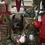 Image of Review by Pavel K. on 11 Jan 2026 number 1