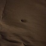 Image of Review by Steven B. on 14 Jan 2026 number 1