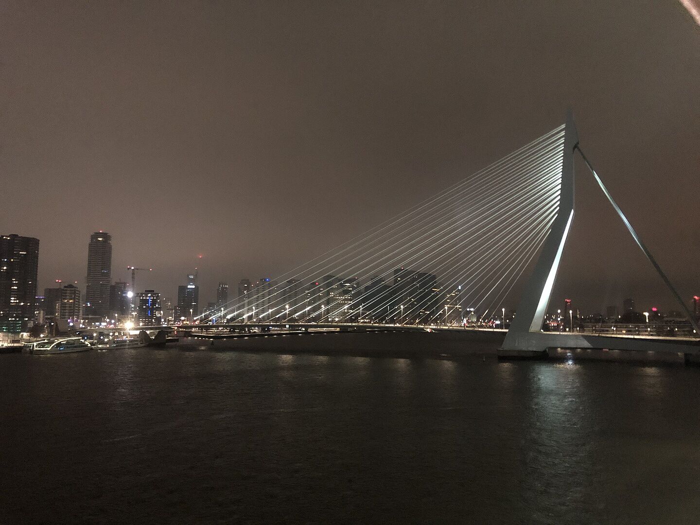 MSC Poesia