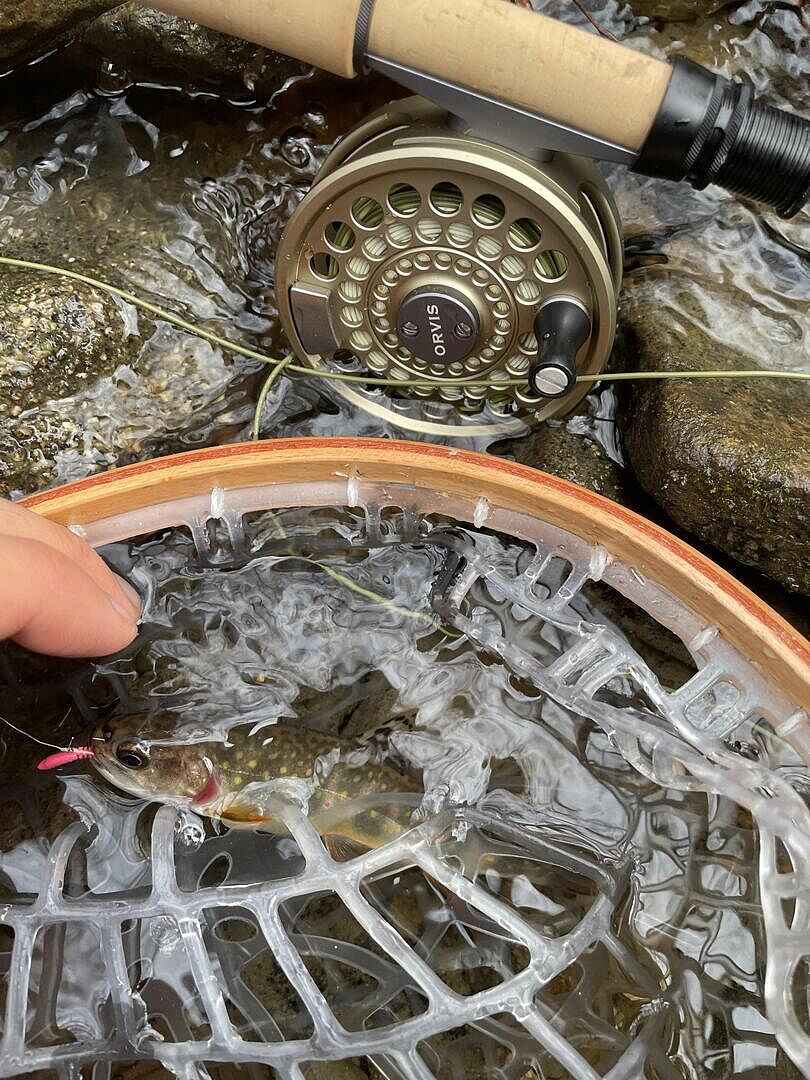 Superfine Graphite Fly Rods | Orvis