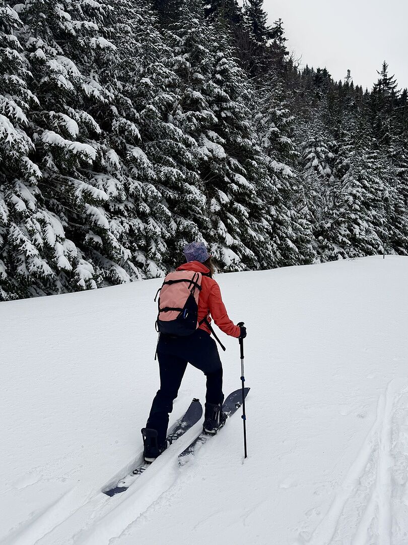 Burton Day Hiker 25L Backpack | Bags & Packs | Burton.com Spring