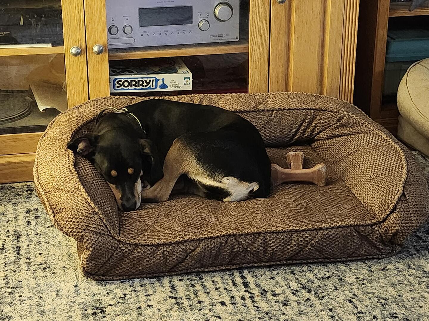 Orvis Memory Foam Couch Dog Bed | Orvis