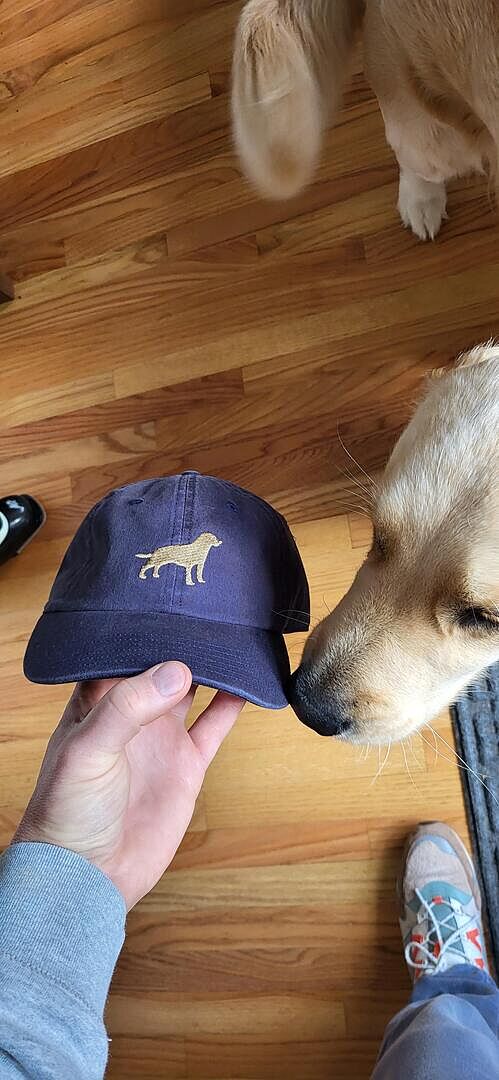 Embroidered Lab Twill Ball Cap | Orvis