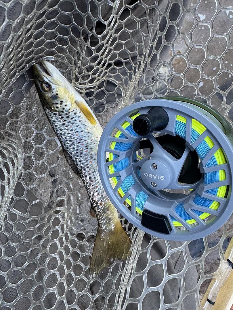 Clearwater® Extra Fly Line Spools | Orvis