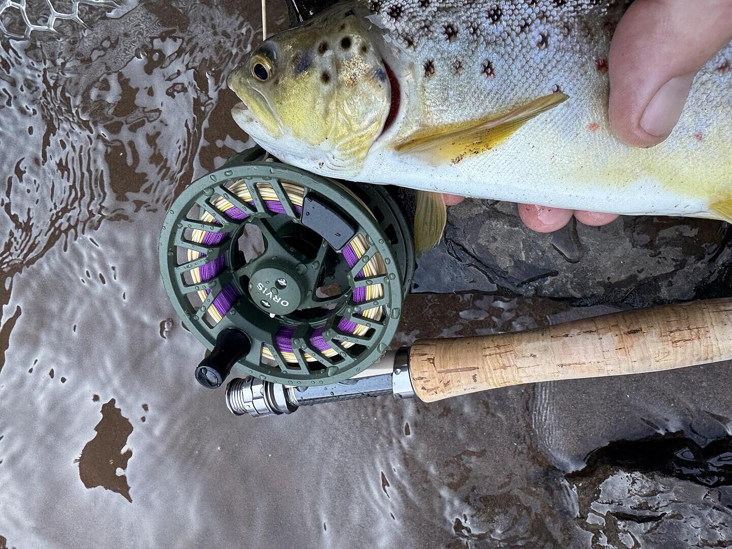 Clearwater® Large Arbor Fly Fishing Reels | Orvis