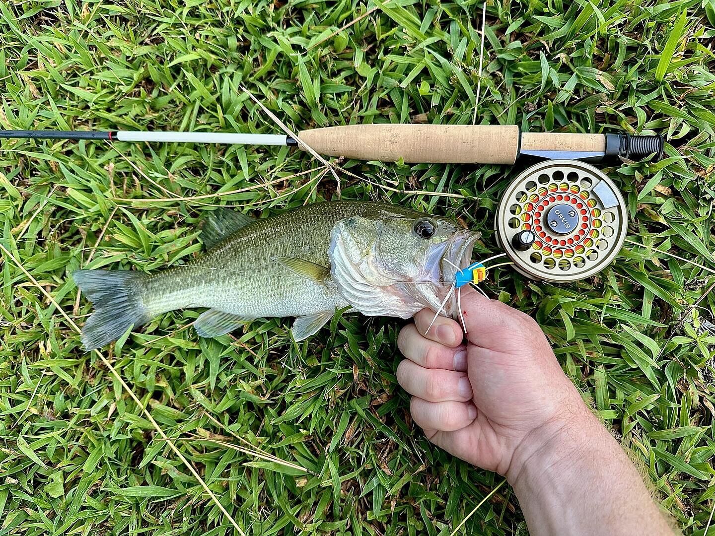 Superfine Graphite Fly Rods | Orvis