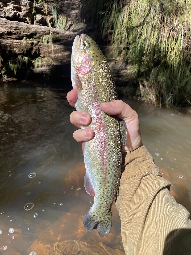 Superfine Graphite Fly Rods | Orvis