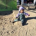 Image of Review by SC on 29 Jan 2026 number 1