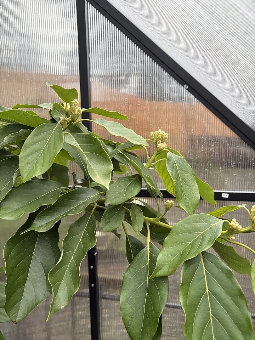 Media from review #3