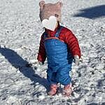 Image of Review by ぐり on 30 Jan 2026 number 3