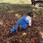 Image of Review by ぐり on 30 Jan 2026 number 4