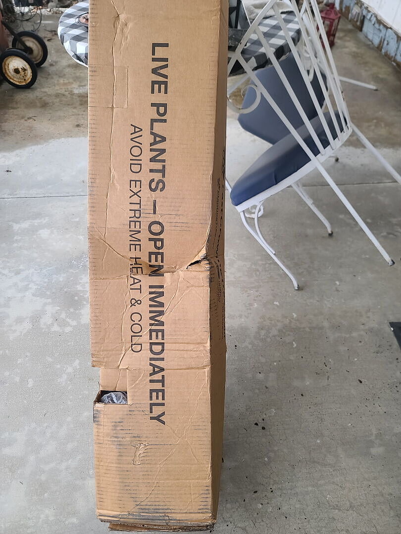 The box box was smashed