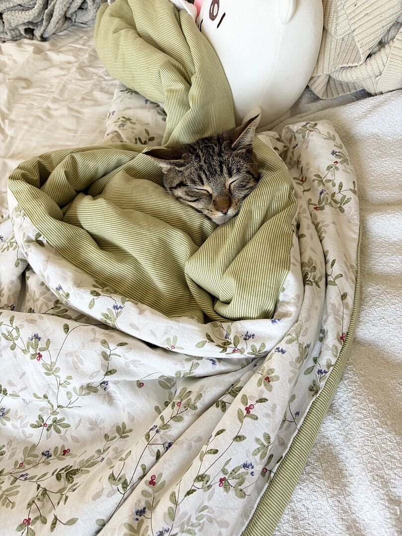 Catalyst Pet customer photo shared by Alexis S.