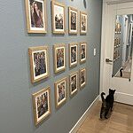 Image of Review by Monica T. on  2 Feb 2026 number 1