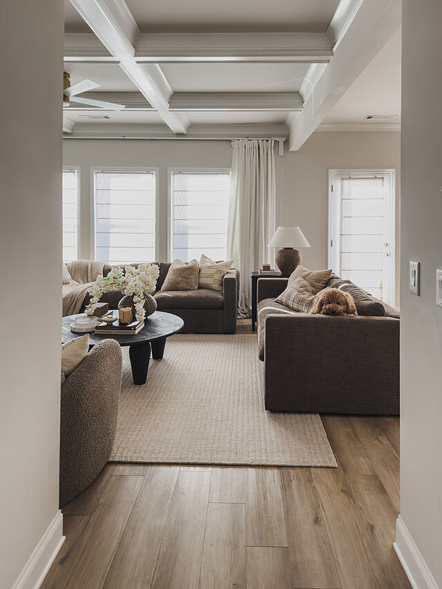 Jhonny Curran x Rugology Thatcher Beck Beige The BEST RUG