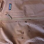 Image of Review by Jess on  4 Feb 2026 number 1