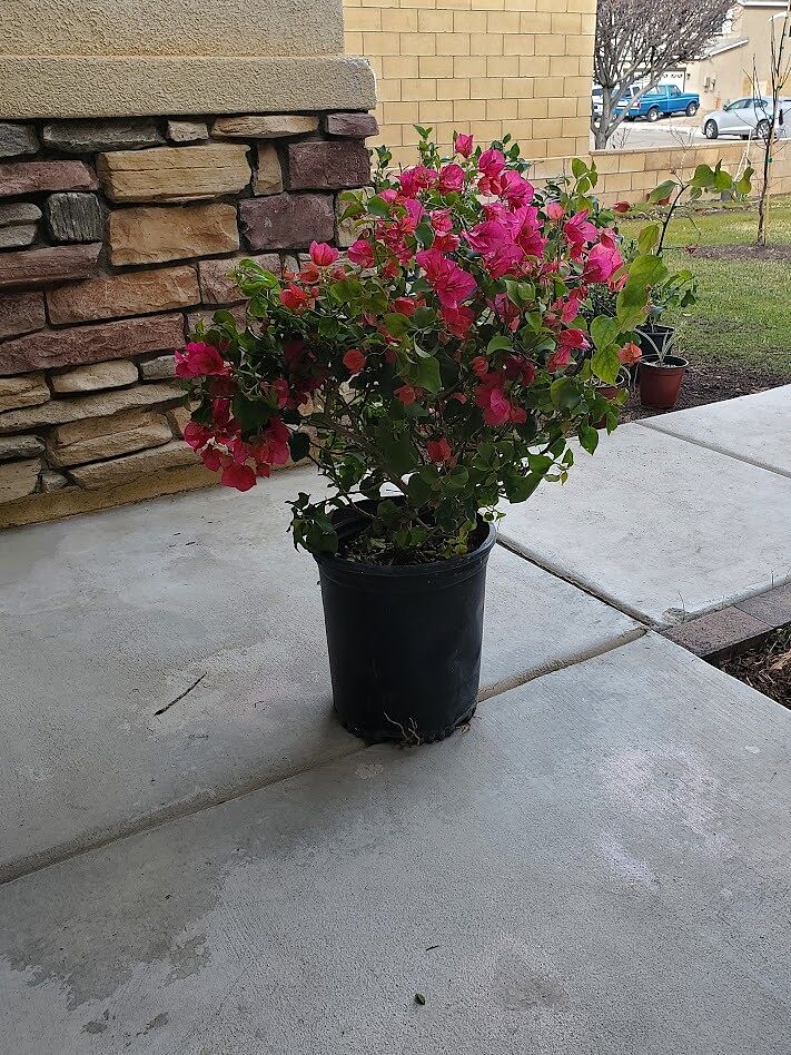 Media from review #2