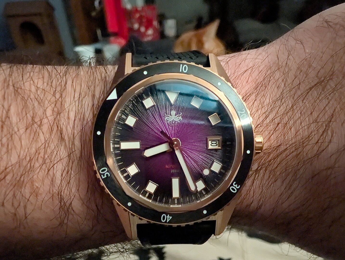 PHOIBOS Argo Bronze 200M Automatic Diver Watch PY057H Spiral