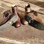 Image of Review by Anna V. on 12 Feb 2026 number 3