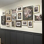 Image of Review by Kelsi on 12 Feb 2026 number 2