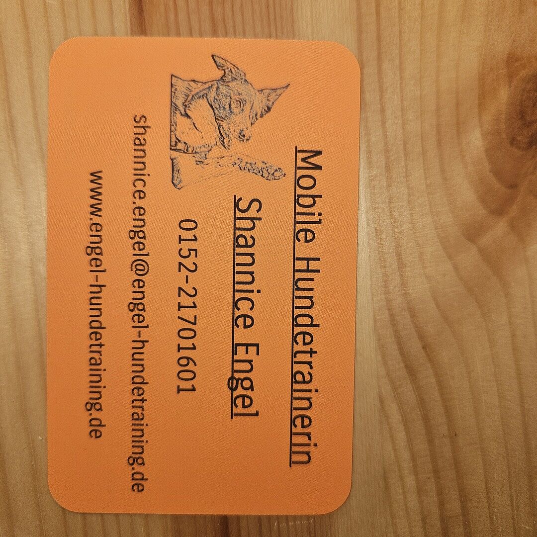 Leider nicht wie erwartet