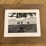 Image of Review by Lauren B. on 13 Feb 2026 number 1