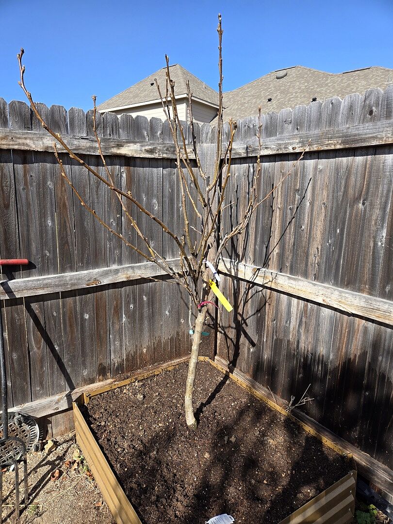 Media from review #2