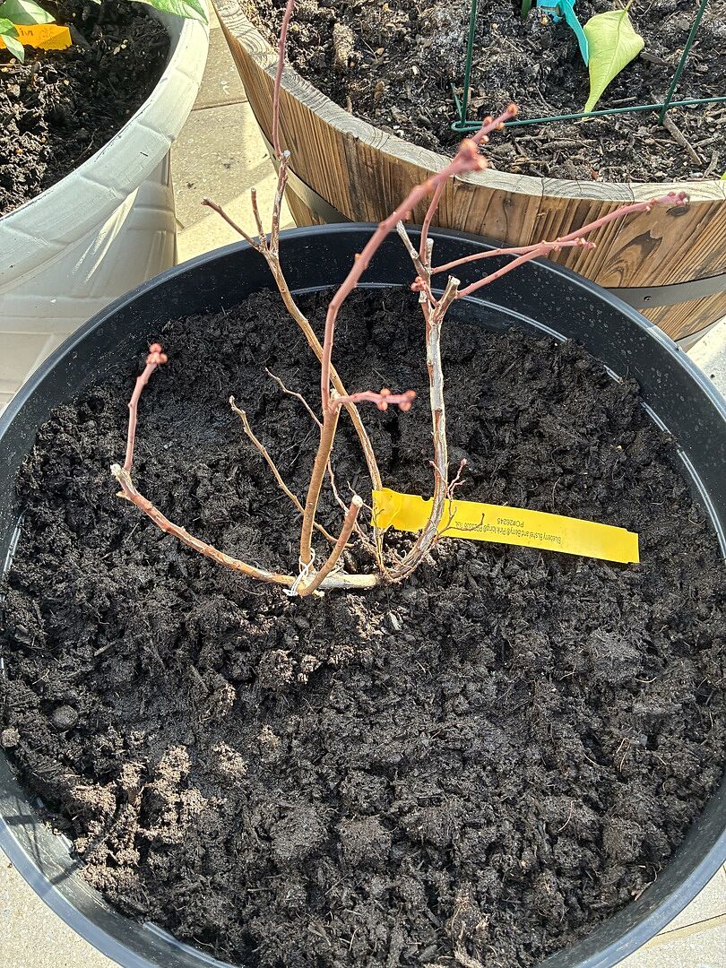 Great experience so far