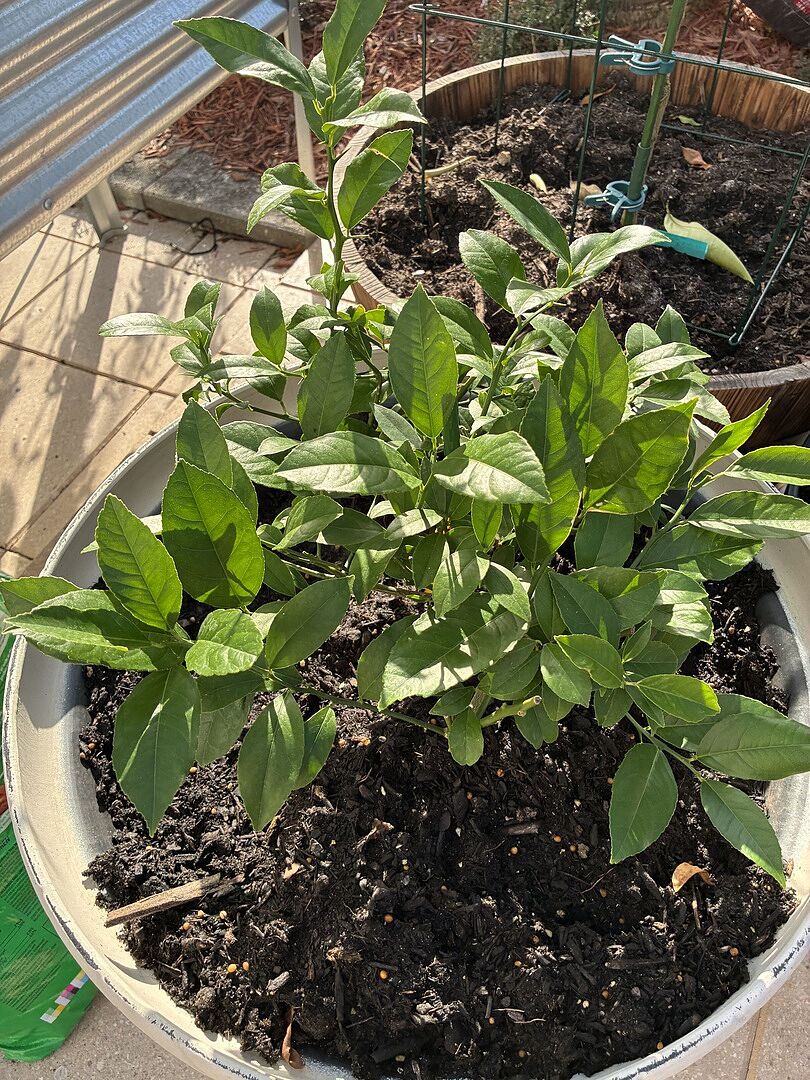 Media from review #5