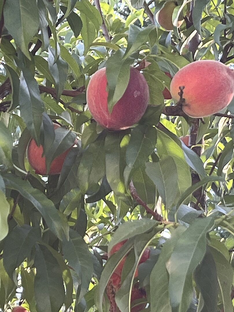 It’s worth the wait