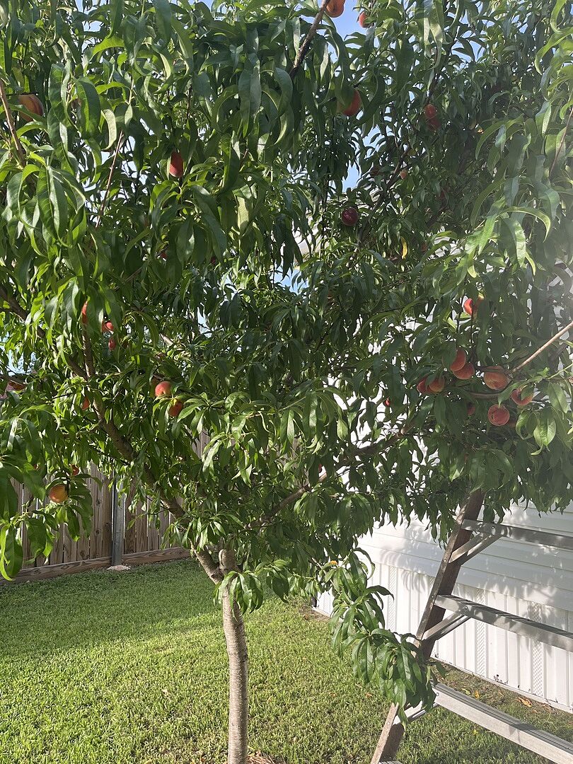 Media from review #3