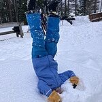 Image of Review by Caltha R. on 22 Feb 2026 number 1