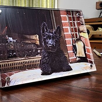 Photo of review by Terry on Feb 24, 2026 #1