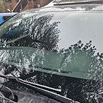 Image of Review by Oscar M. on 24 Feb 2026 number 1