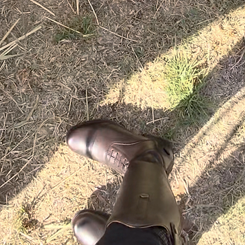 Bottes Jodhpur Shires Moretta Vérone – GS Equestrian