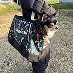 Image of Review by Tamato on 26 Feb 2026 number 1