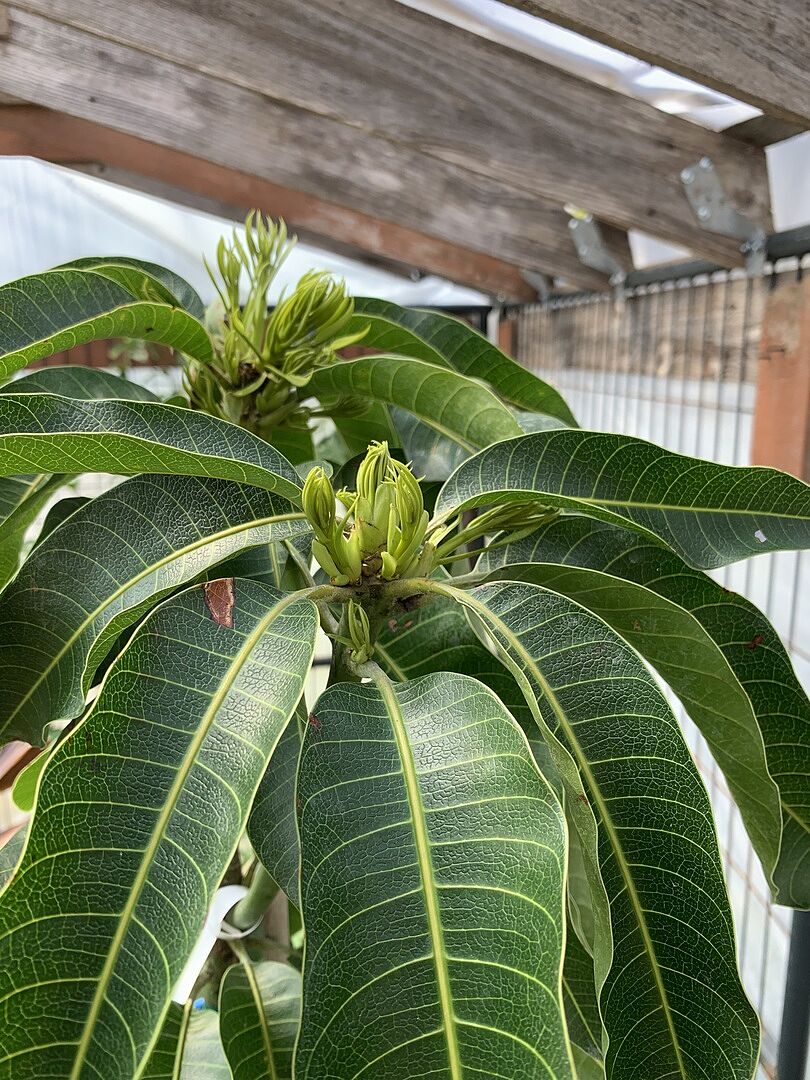 Media from review #2