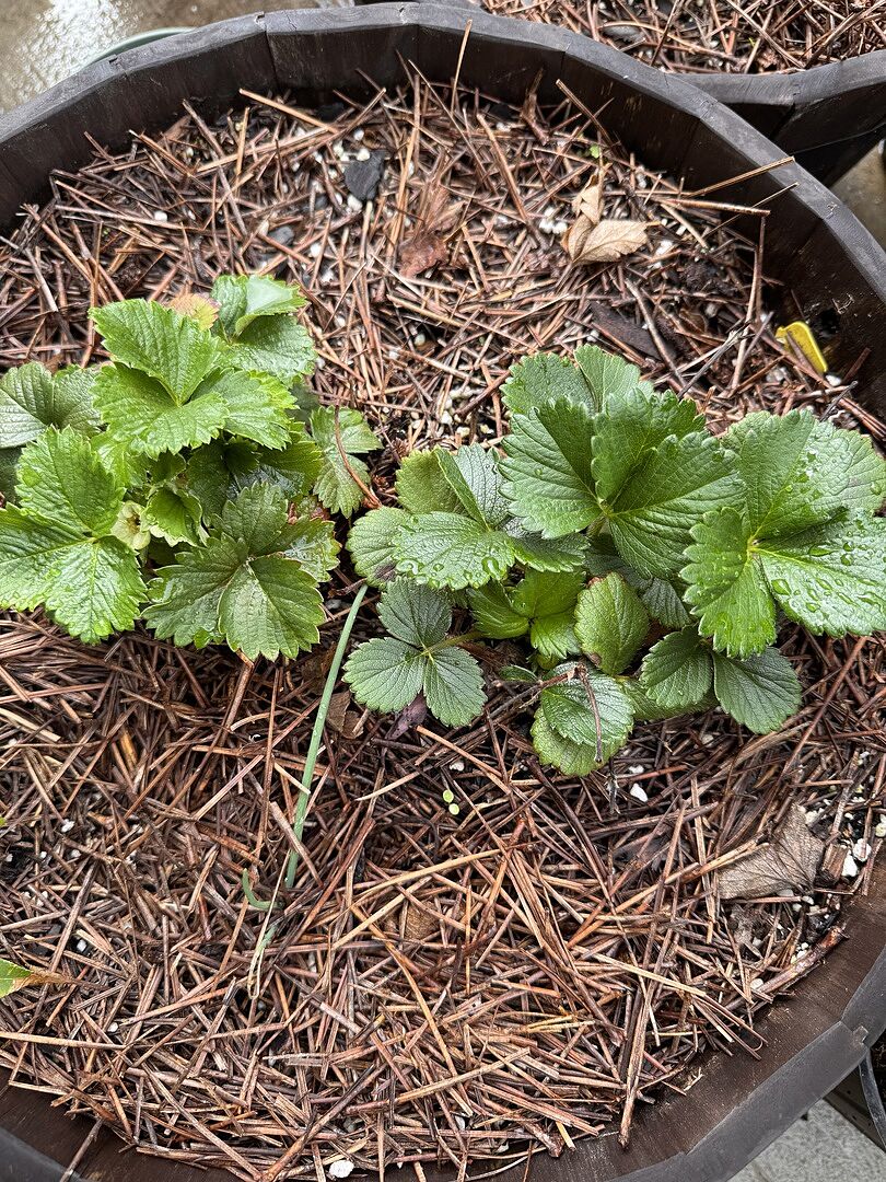 They are recovering well 🥰