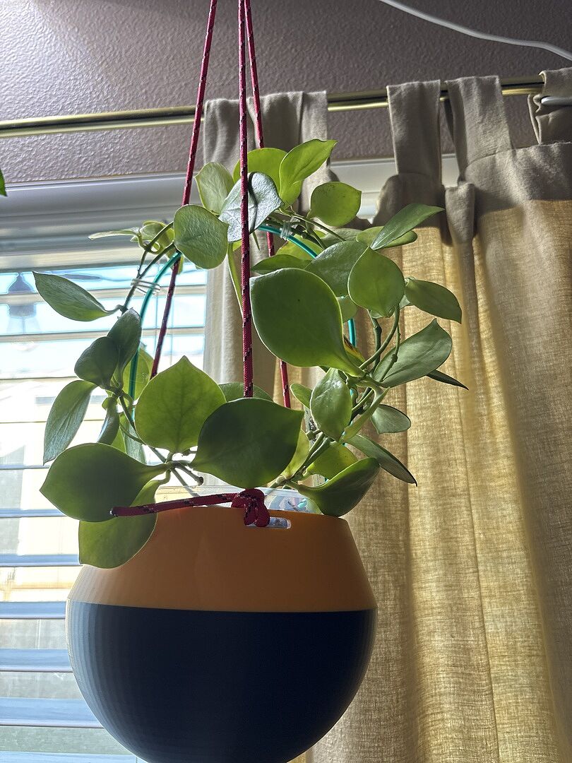 Hoya NS 05-055 – Unsolicited Plant Talks