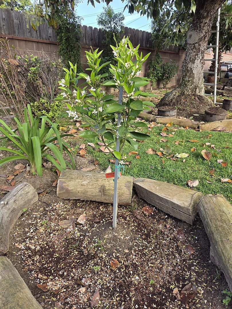 I expected it to arrive