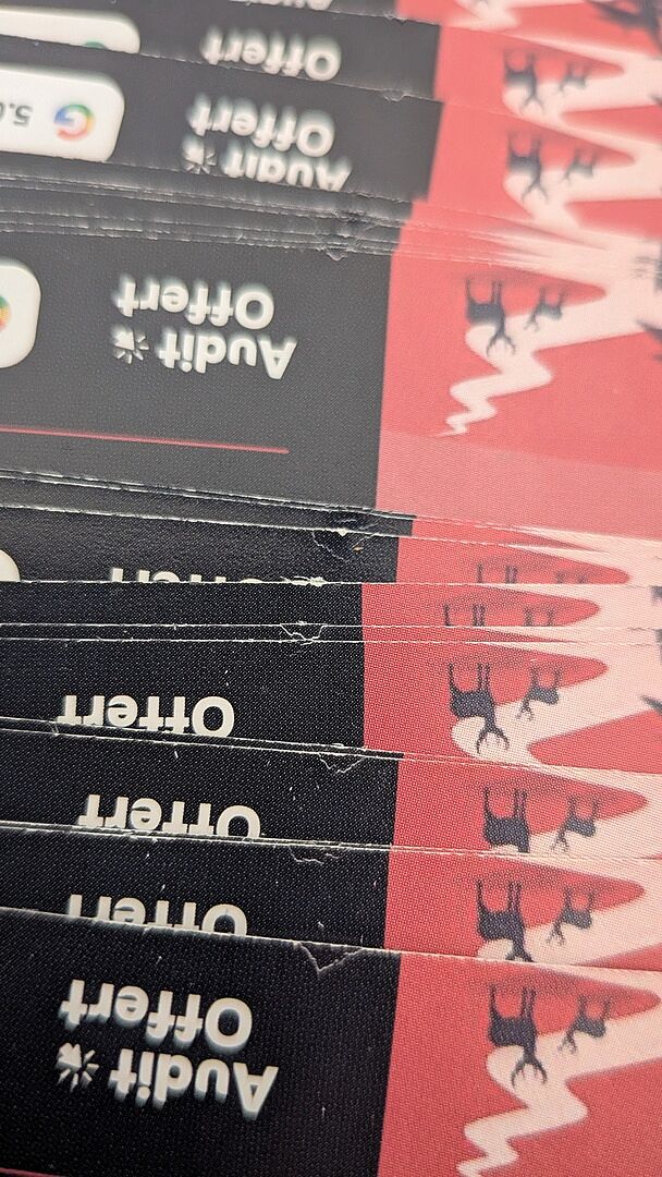 Bon rendu mais un peu déçu. .