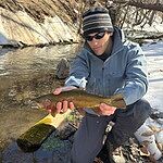 Image of Review by Joseph on  3 Mar 2026 number 1