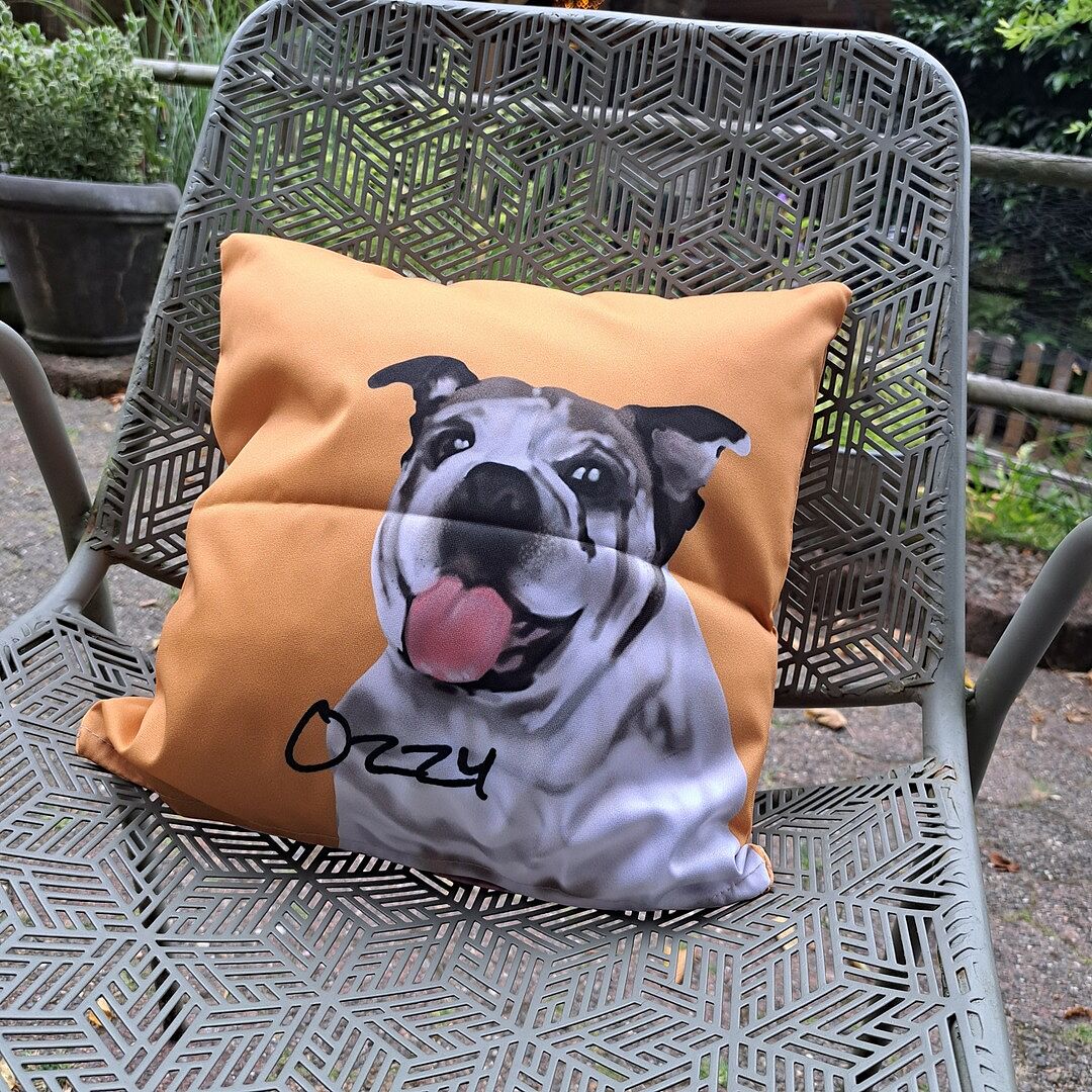 Kussentje met illustratie