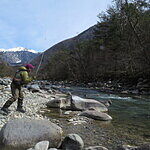 Image of Review by ポール on  5 Mar 2026 number 1