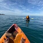 Image of Review by Miguel on  6 Mar 2026 number 1