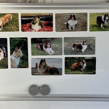 Photo of review by Suzanne on Mar 6, 2026 #1