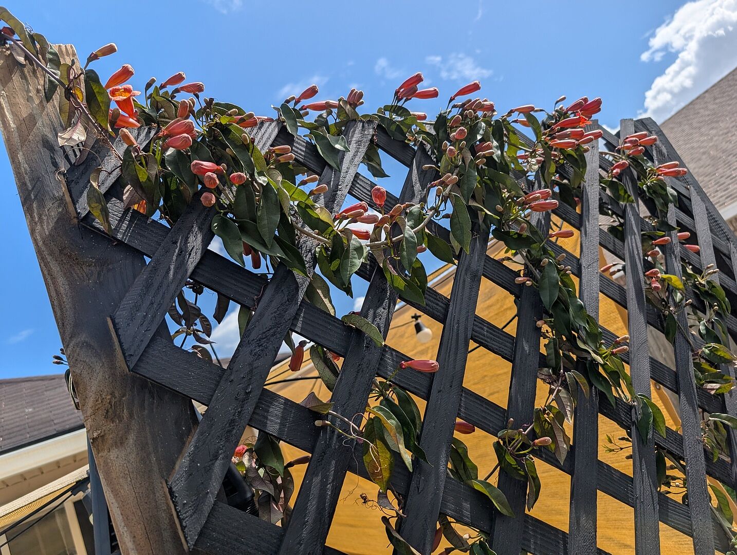 Media from review #2