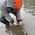 Image of Review by jamie on  8 Mar 2026 number 1