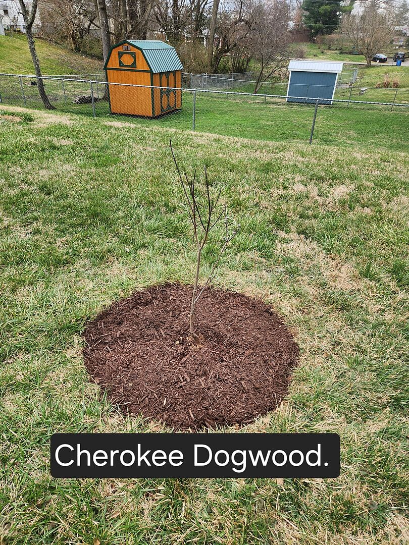 Happy with this purchase.