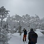 Image of Review by おんぬ on 11 Mar 2026 number 1